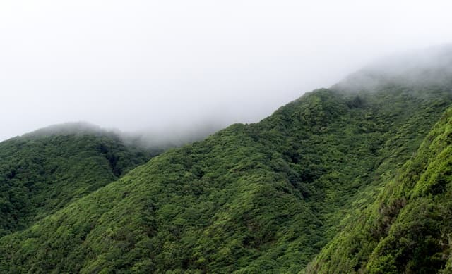 Madeira